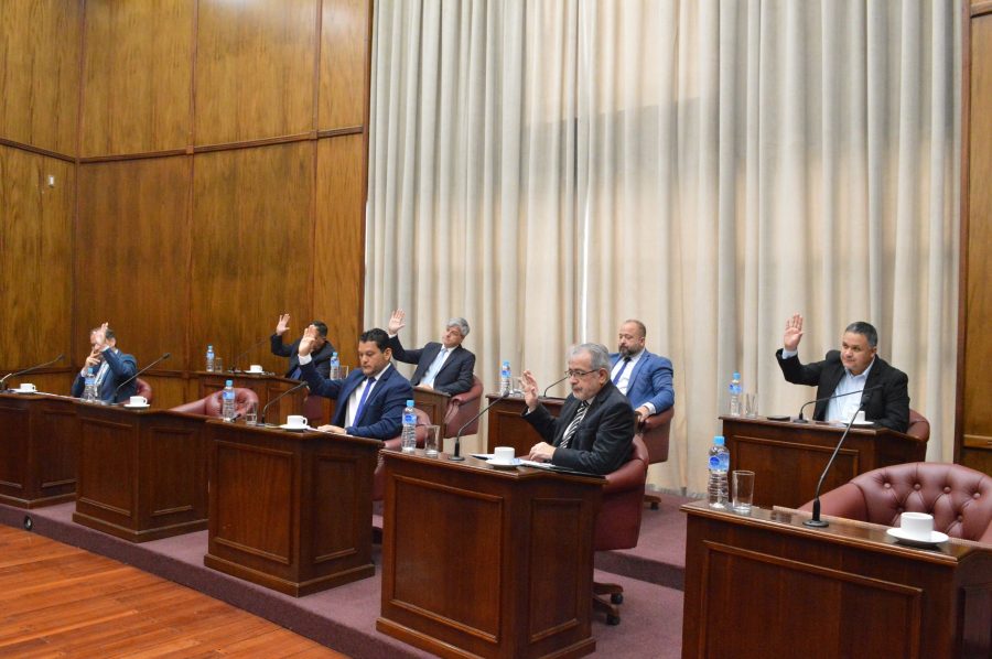 El Senado dio media sanción a la reducción de la feria judicial en San Luis