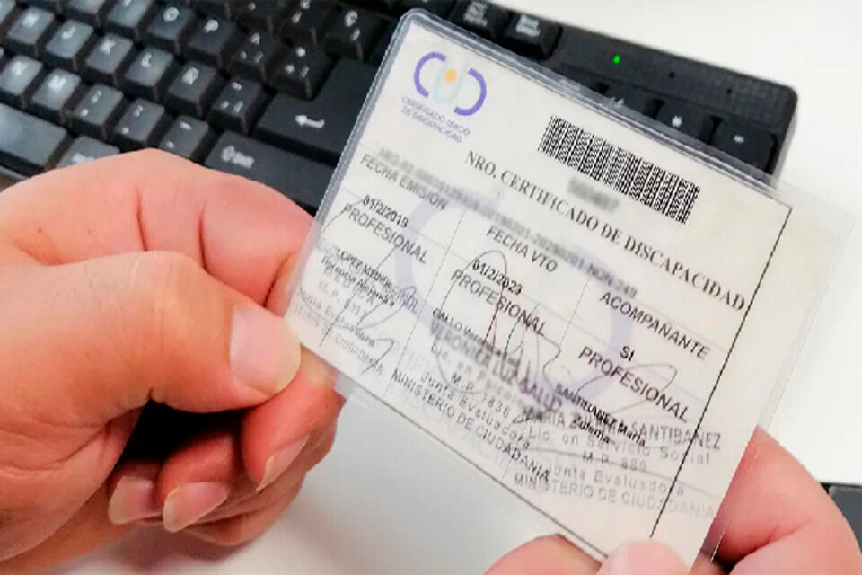 Nuevo Certificado Único de Discapacidad: todos los cambios y cómo  tramitarlo – San Luis Opina